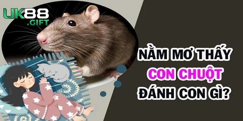 Một số lưu ý khác khi nằm mơ thấy chuột cắn